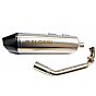 MALOSSI Exhaust for PIAGGIO BEVERLY 300 (10- 18 )