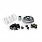 Variator (multivar) MALOSSI PIAGGIO GILERA 4t