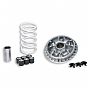Variator (multivar) MALOSSI PIAGGIO GILERA 500 (6 rollers)