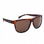 Oxford Sahara Tortoise Shell Frame Brown Lens Sunglasses