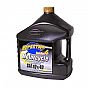 SPECTRO GOLDEN 4T 10W-40 MA2 4lt