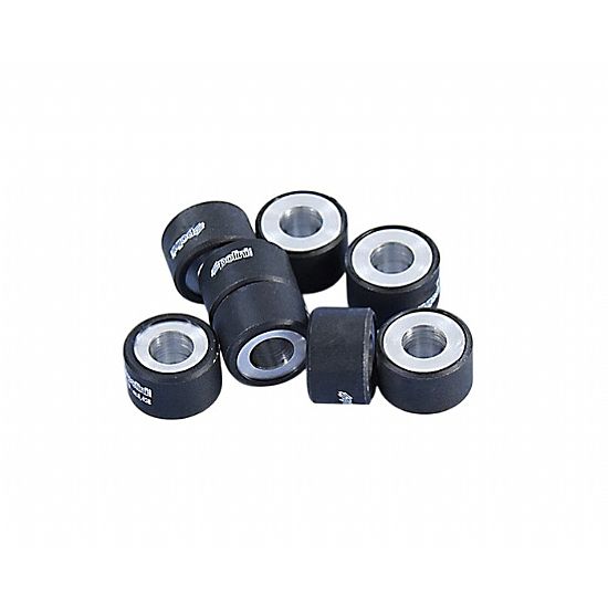 Polini Rollers 25X16 14.0g Piaggio Beverly 350