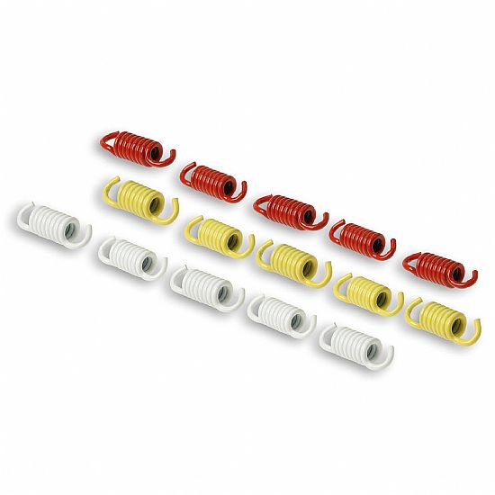 Malossi Racing Clutch Spring Set 2913137